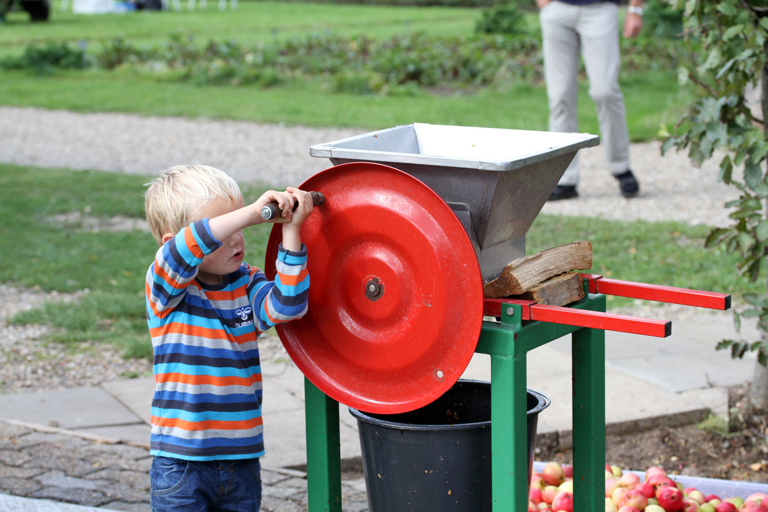 Barn hjælper med æblekværnen.
