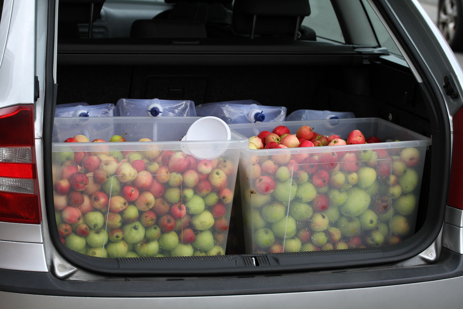 Bilen pakket med æbler klar til at blive til æblemost.